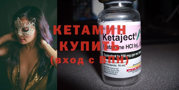 дживик Ельня