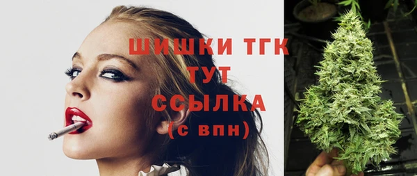 ПСИЛОЦИБИНОВЫЕ ГРИБЫ Елизово